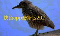 快色app最新版2024