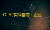 OLAP实战指南：企业级在线分析处理技术的深度解析与价值实现